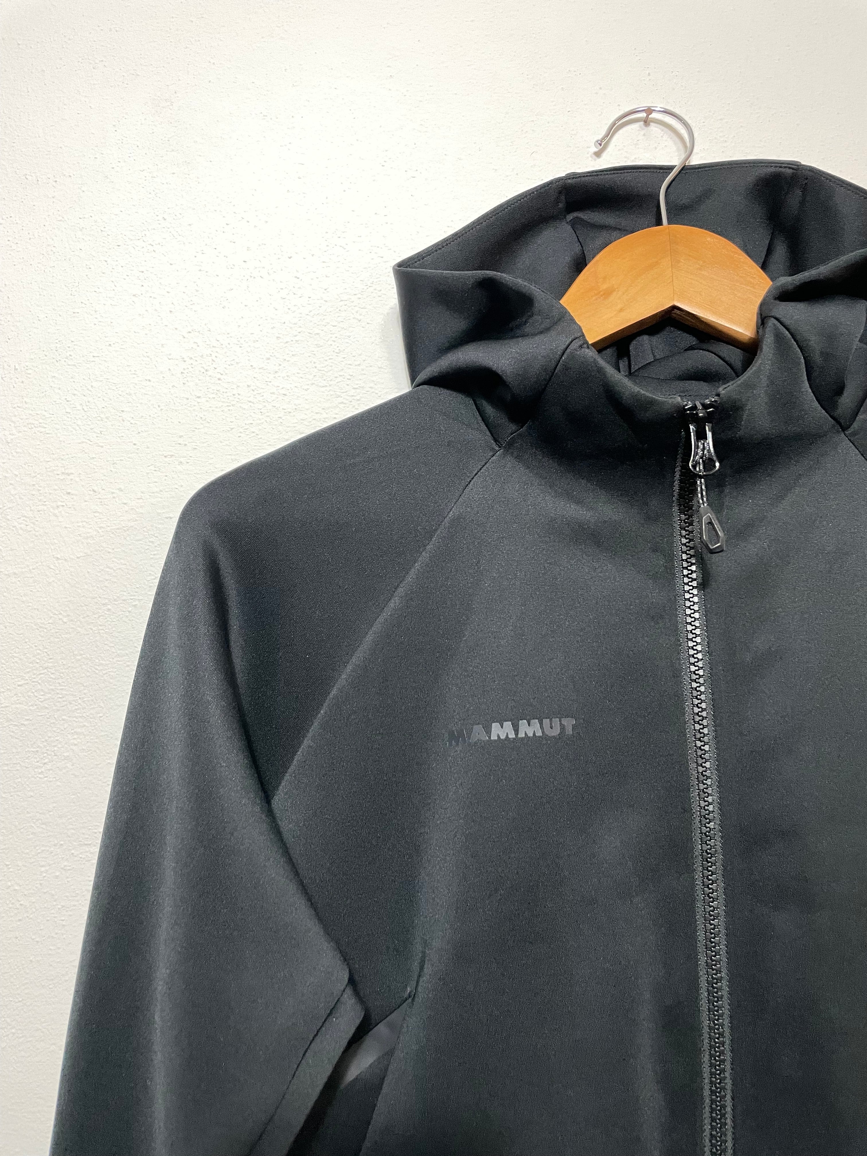 Pile Mammut Logo Hooded